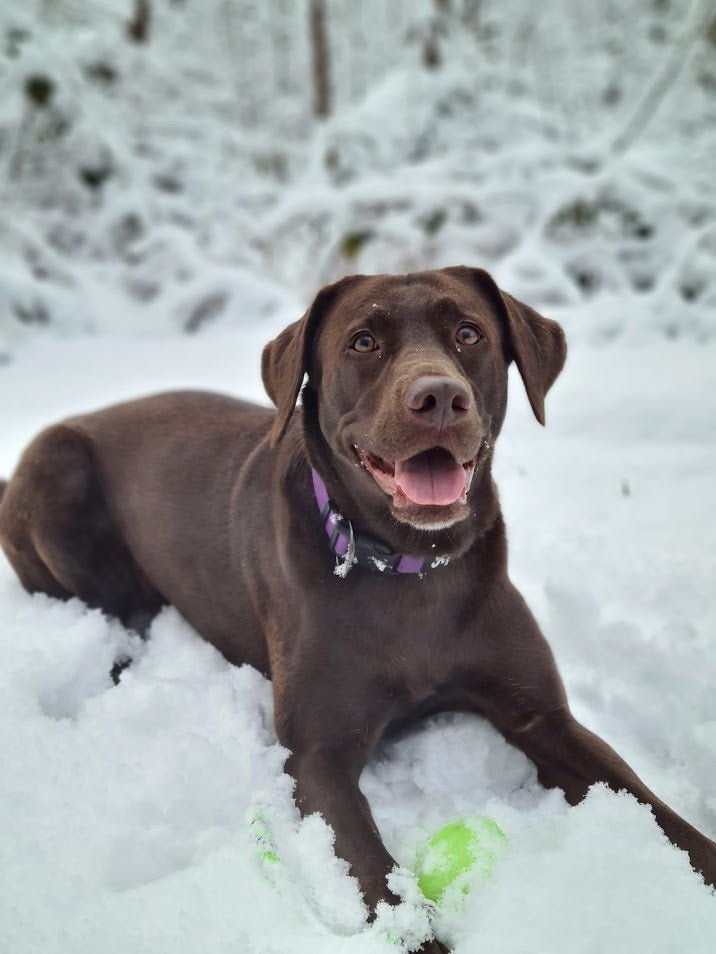 Unsere Verantwortung - Tierkiosk