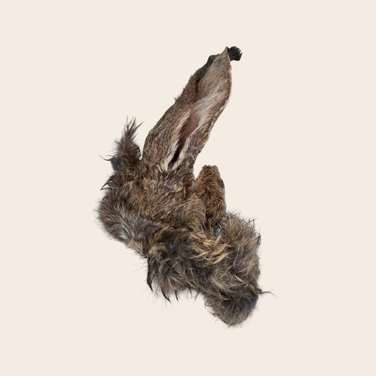 Oreilles de lapin 1 pièce.