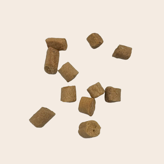 Biscuit au sanglier 5g