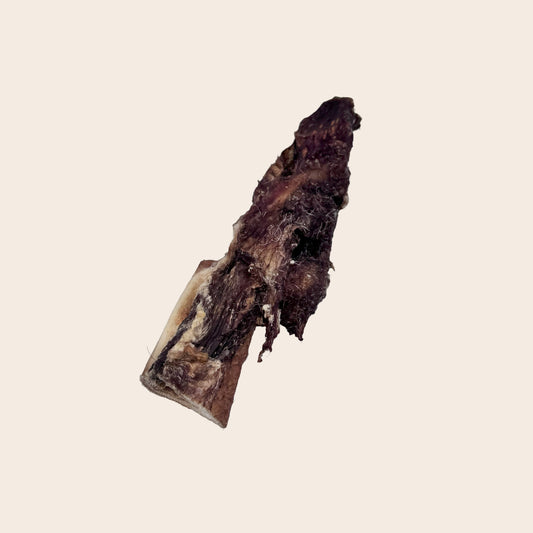 Cuire chevelu de bœuf 1 pc.