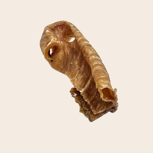 Tripes de bœuf légères, 1 pièce.