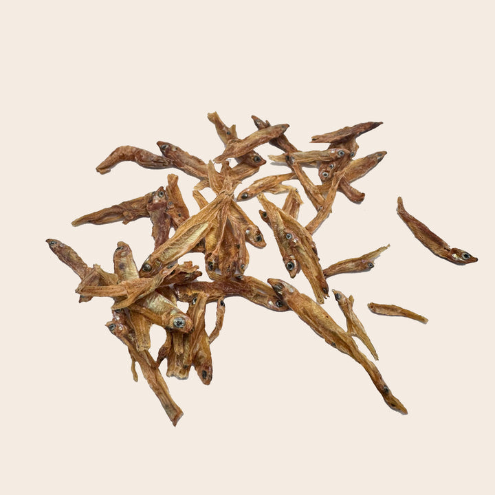 Anchois séchés 2,5g