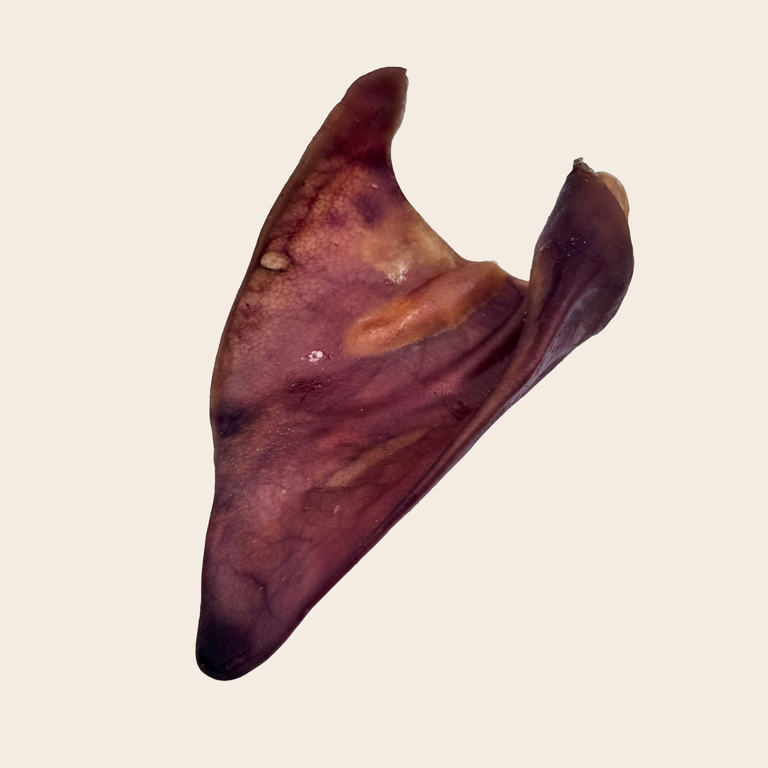 Schweineohren Multipack