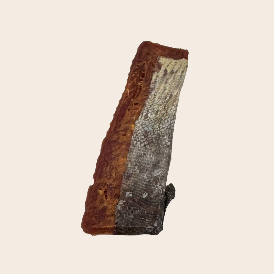 Steaks aus Fisch und Poulet Multipack