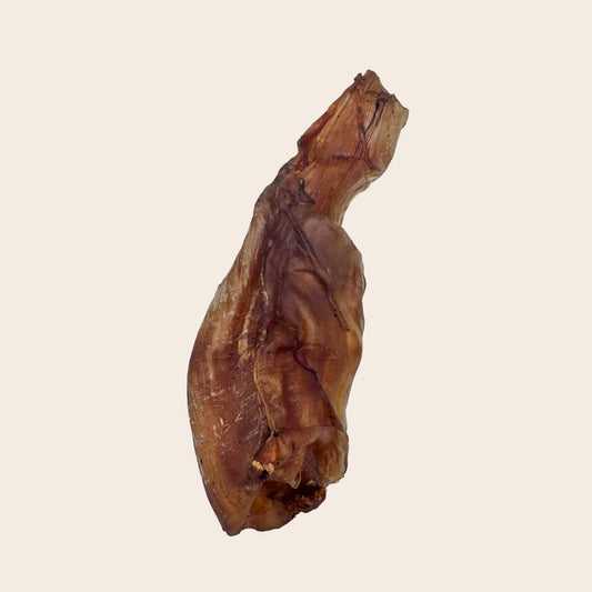 Tendon d'autruche 1 pièce.