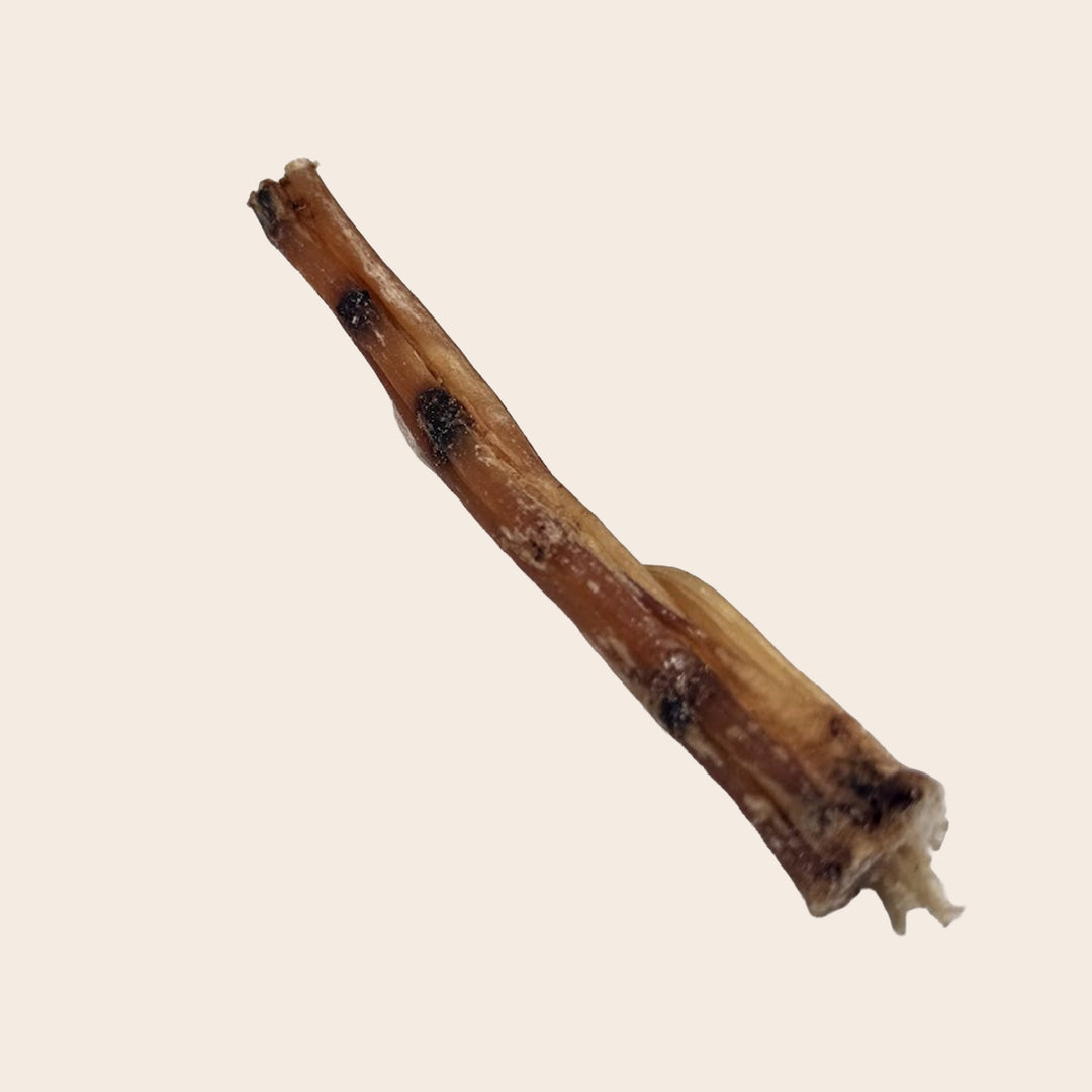 Straussensehnenstick Multipack