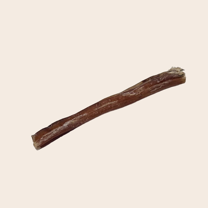 Straussensehnenstick Multipack
